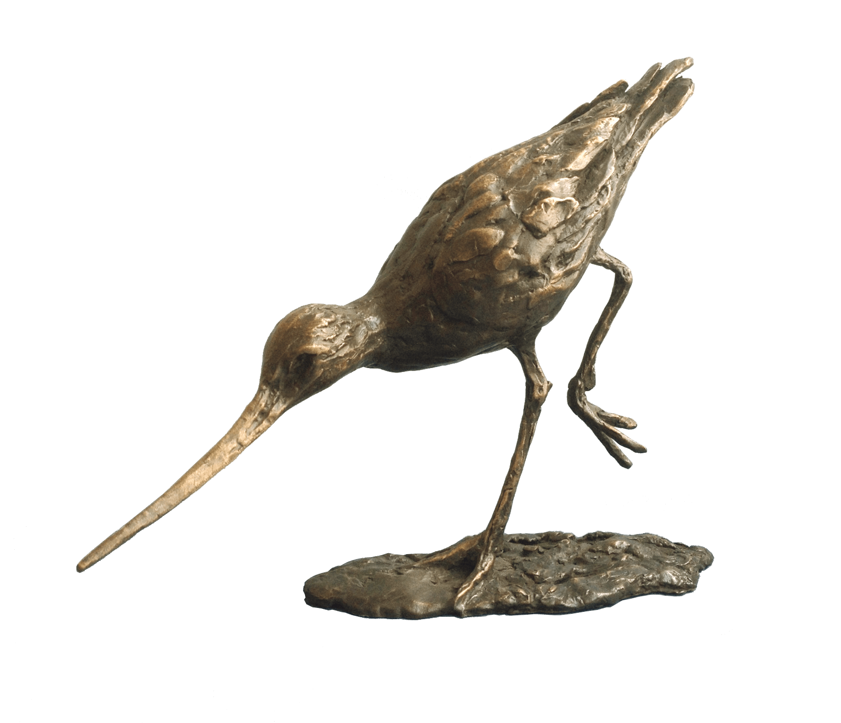 3-0_Kluut_transparant